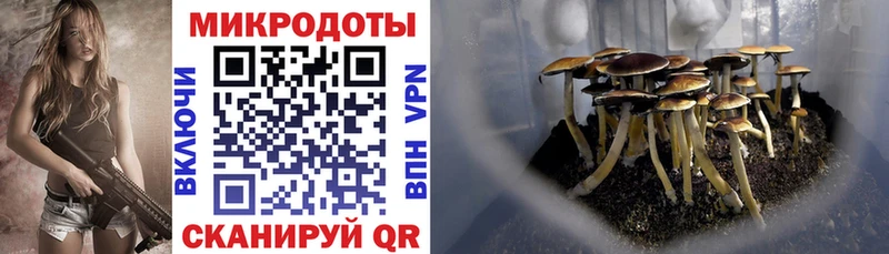 Галлюциногенные грибы мухоморы  маркетплейс какой сайт  Мезень 